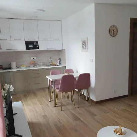 Apartment Borovi