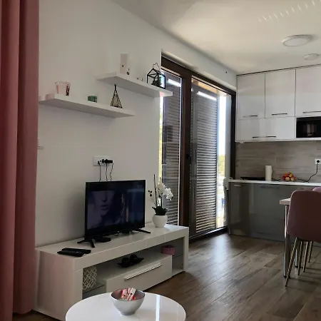 Apartment Borovi *