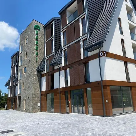Apartman Borovi